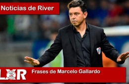 Frases de Marcelo Gallardo